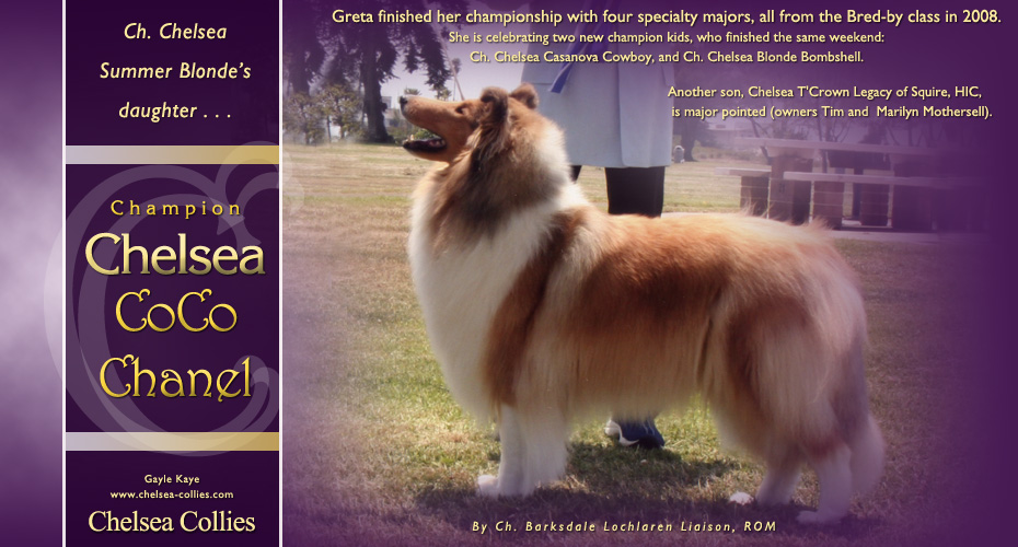 Collies Online ad