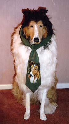 Steiff collie dog hotsell