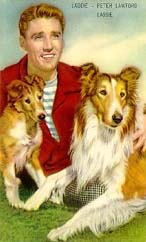 LASSIE : : Movies & TV