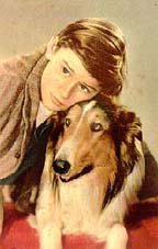 Famous Dogs in History: Pal: The First Lassie